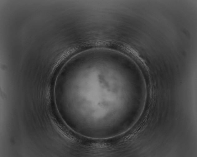 X0000090890250200708031059