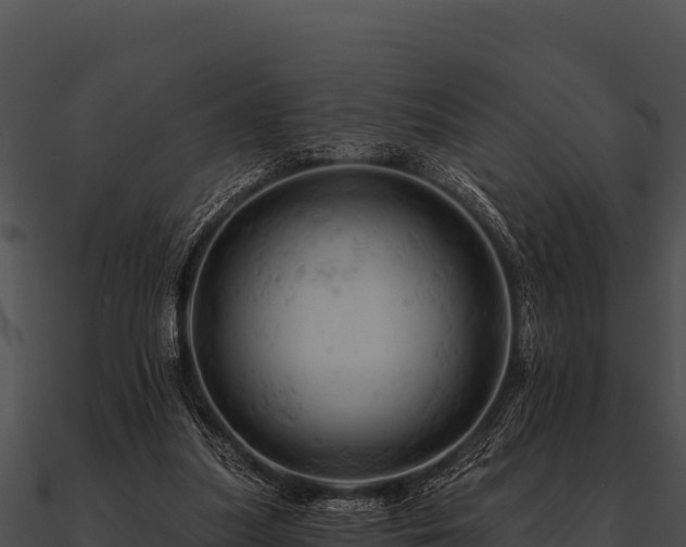 X0000090890251200708031059