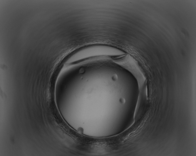 X0000090890252200708031059