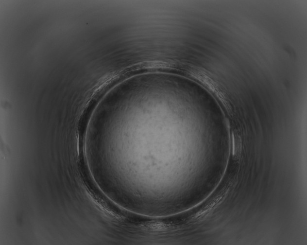 X0000090890253200708031059