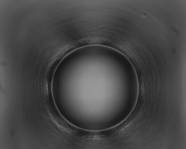 X0000090890254200708031059