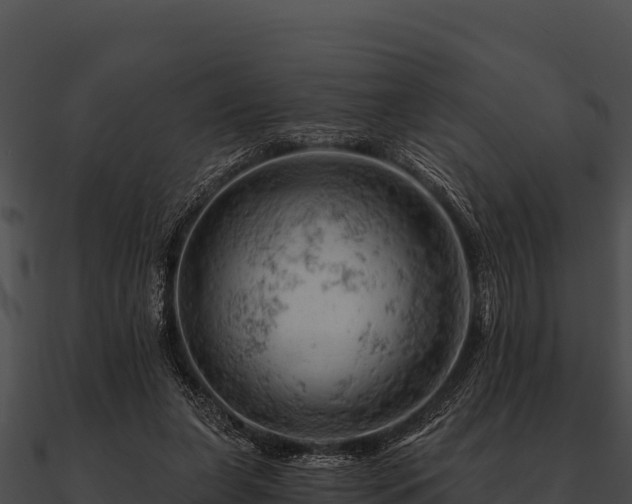 X0000090890255200708031059