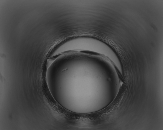 X0000090890256200708031059