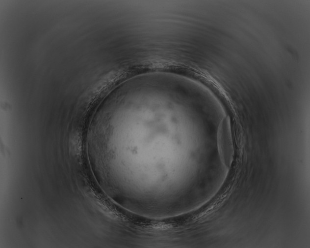 X0000090890257200708031059