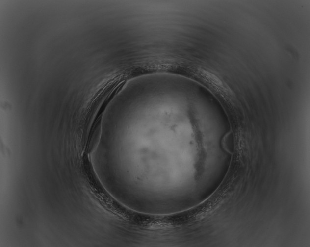 X0000090890258200708031059