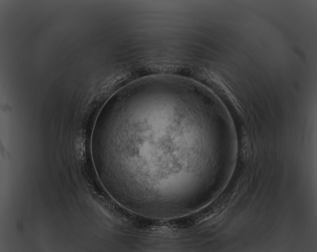 X0000090890259200708031059