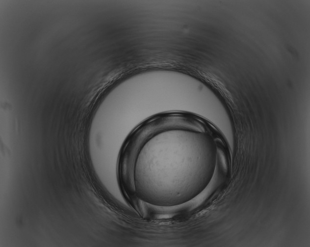 X0000090890260200708031059