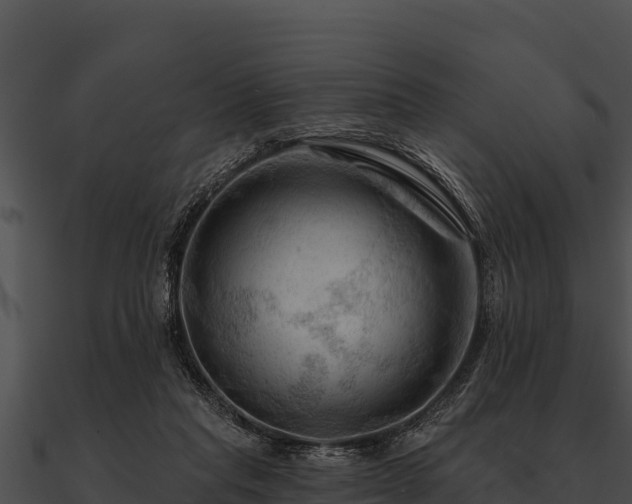 X0000090890261200708031059