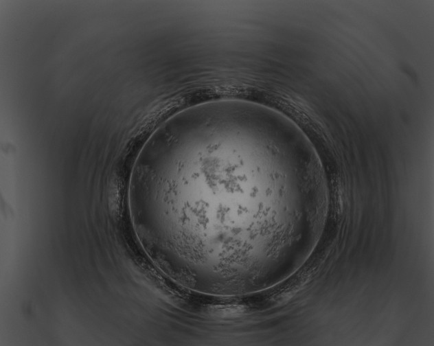 X0000090890266200708031059