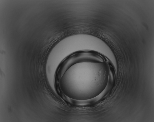 X0000090890268200708031059