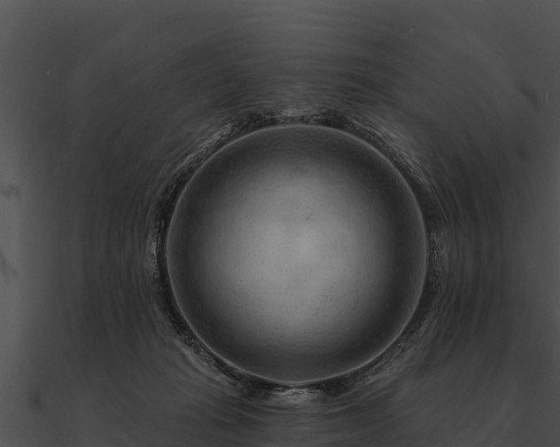 X0000090890269200708031059