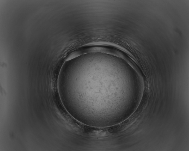 X0000090890272200708031059