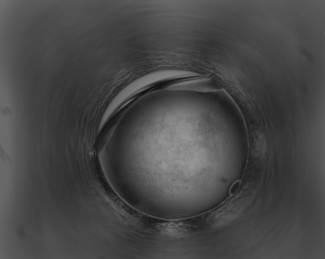 X0000090890273200708031059