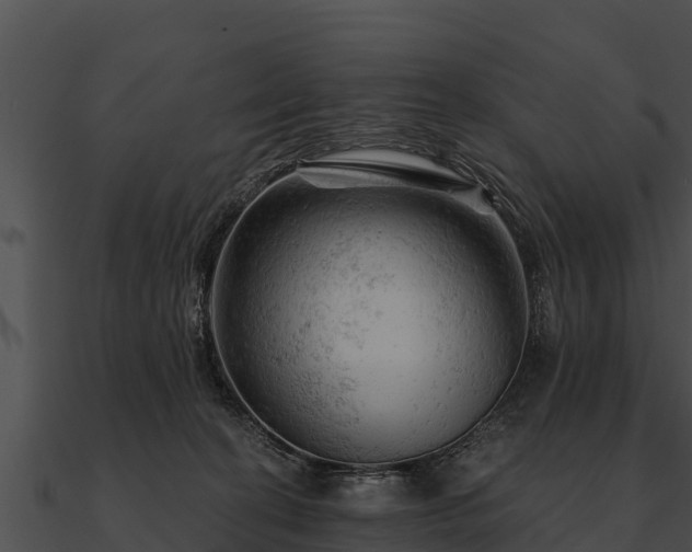 X0000090890274200708031059