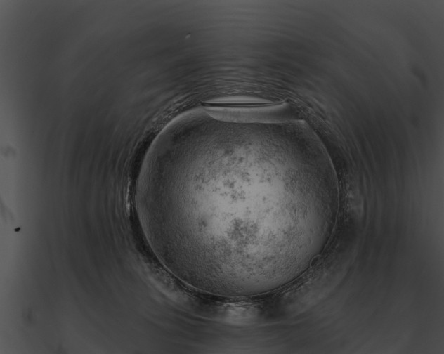 X0000090890275200708031059