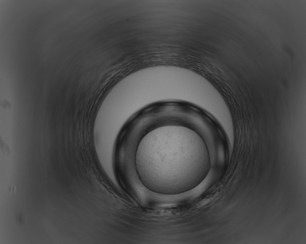 X0000090890276200708031059