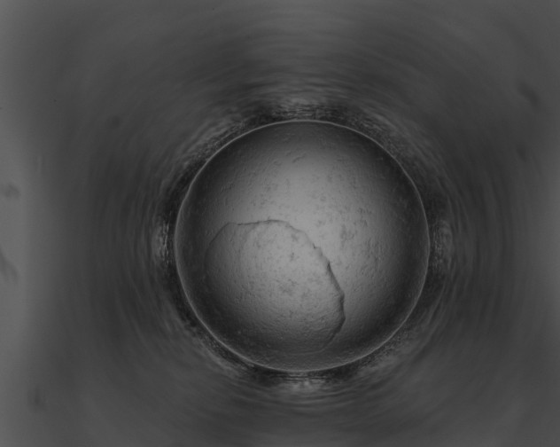 X0000090890278200708031059