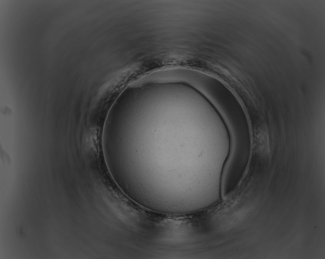 X0000090890280200708031059