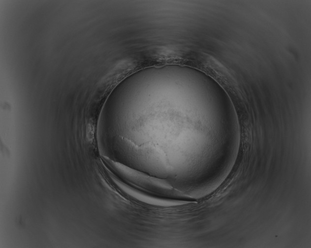 X0000090890281200708031059