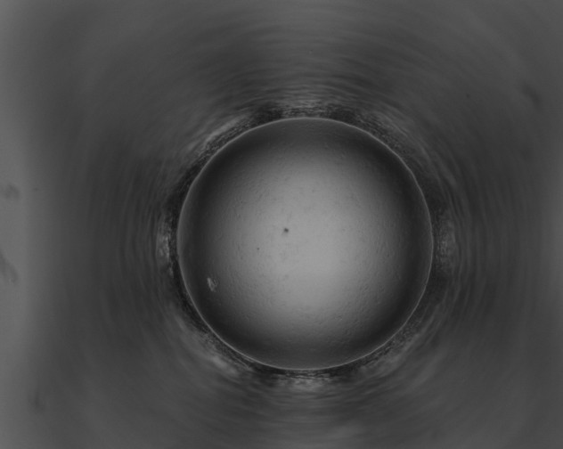 X0000090890282200708031059