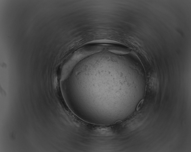 X0000090890283200708031059