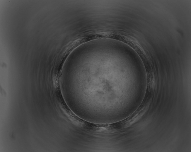 X0000090890285200708031059