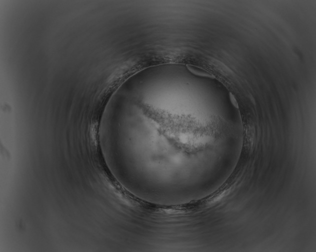 X0000090890286200708031059