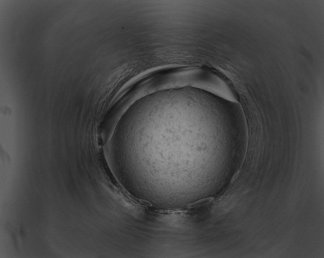 X0000090890288200708031059