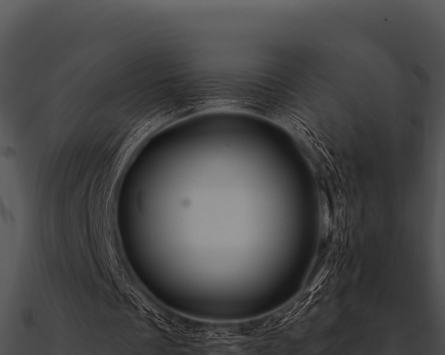 X0000090890289200708031058