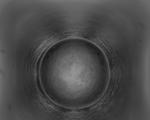 X0000090890290200708031058