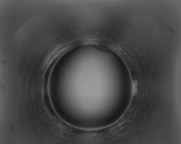 X0000090890291200708031058