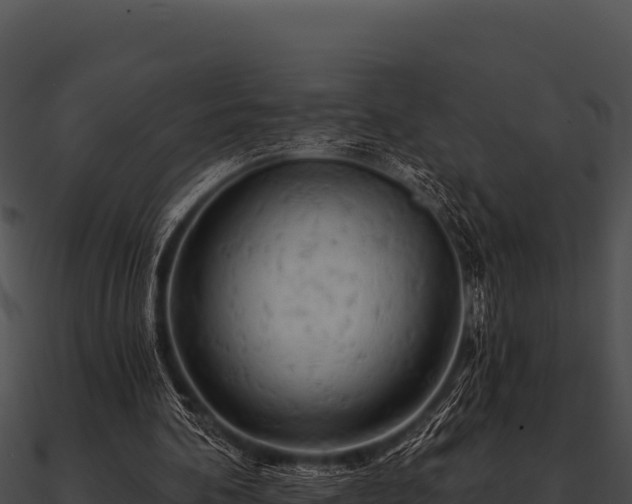 X0000090890292200708031058