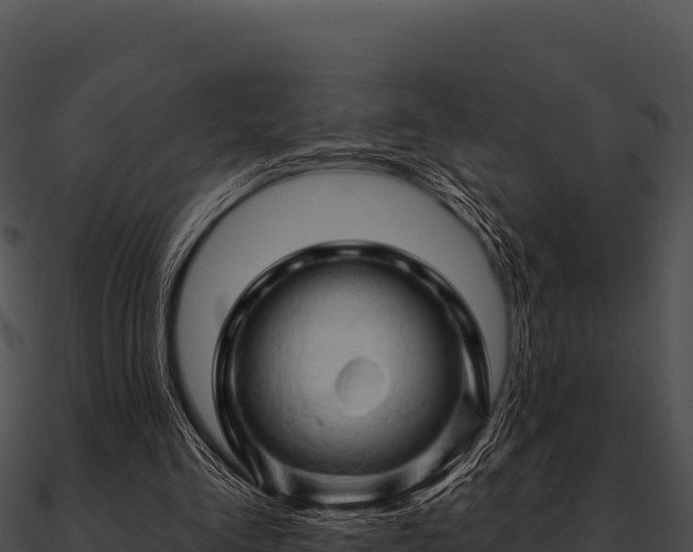 X0000090890293200708031058