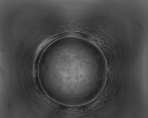 X0000090890294200708031058