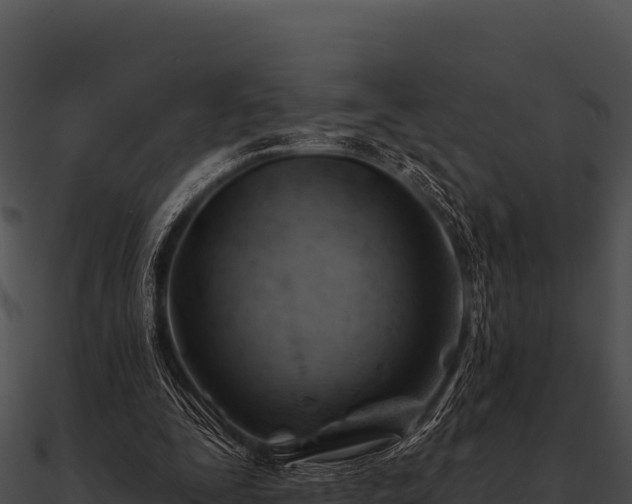 X0000090890295200708031058