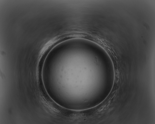 X0000090890296200708031058