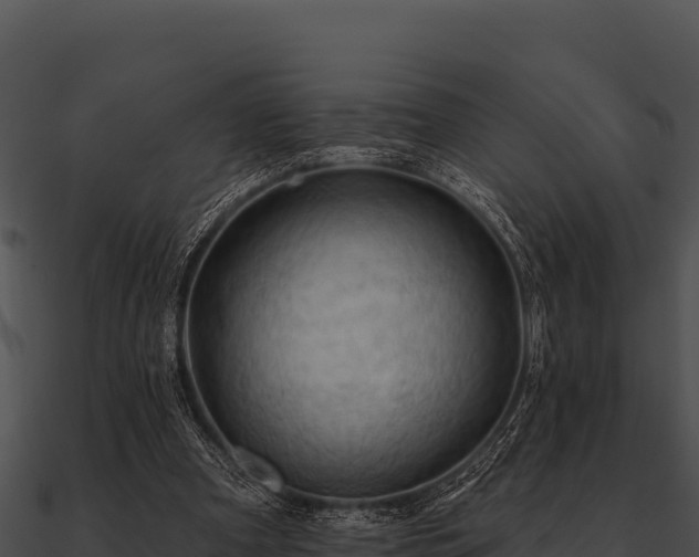 X0000090890297200708031058