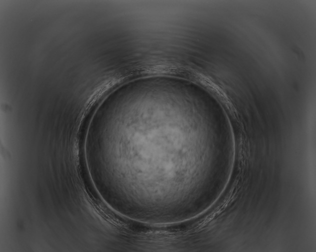 X0000090890298200708031058