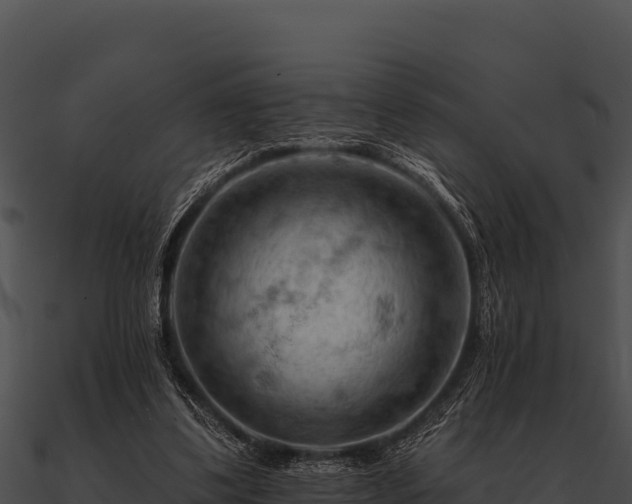 X0000090890299200708031058