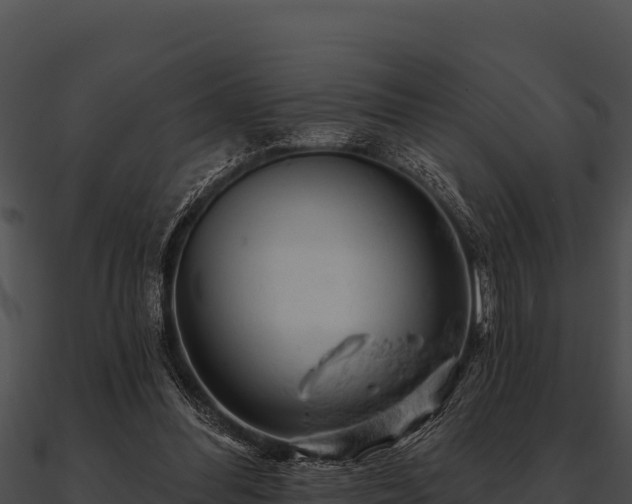 X0000090890300200708031058