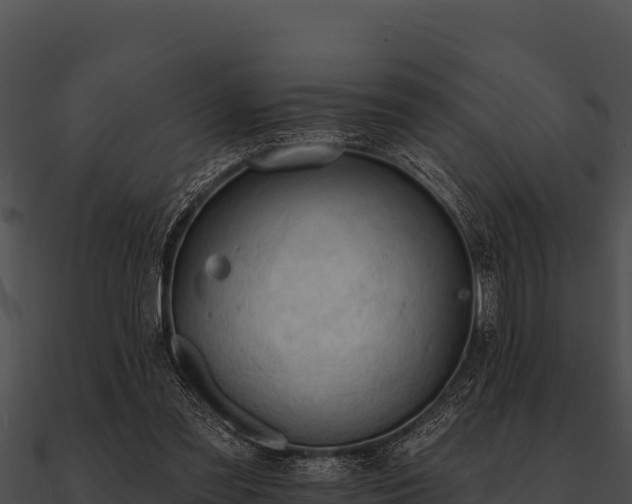 X0000090890301200708031058