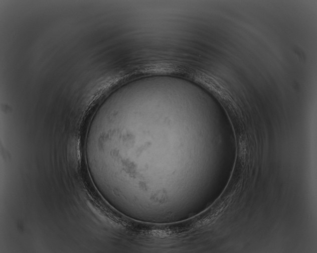 X0000090890302200708031058