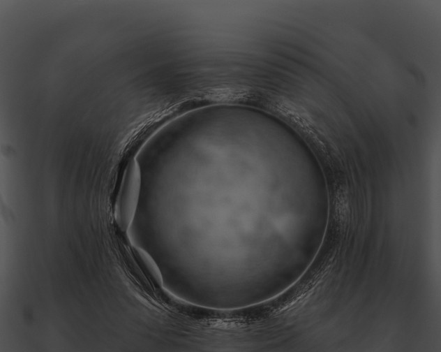 X0000090890303200708031058