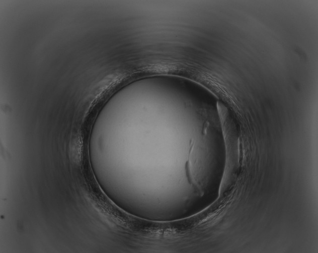 X0000090890304200708031058