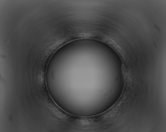 X0000090890305200708031058