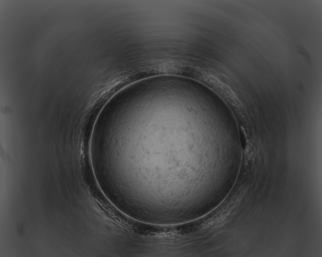 X0000090890306200708031058