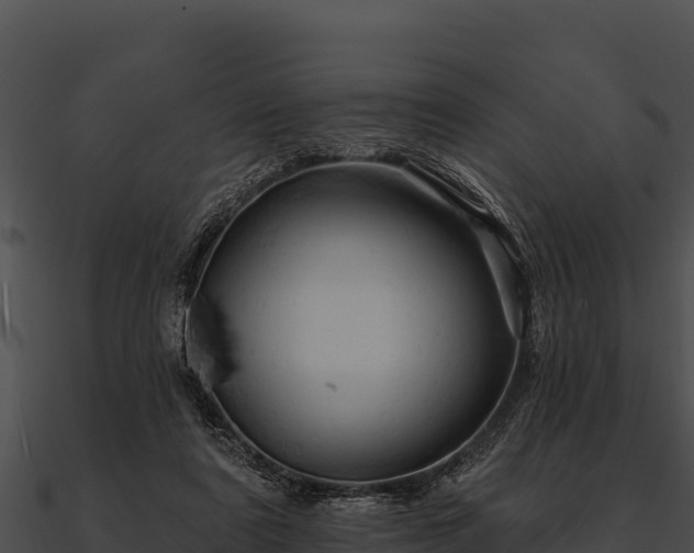 X0000090890307200708031058