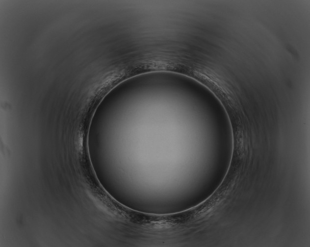 X0000090890310200708031058