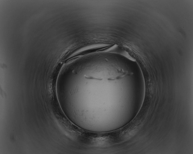 X0000090890312200708031058