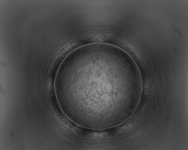 X0000090890314200708031058